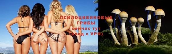 мяу мяу мука Приозерск