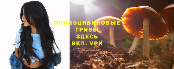 мяу мяу мука Приозерск