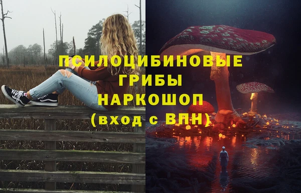 мяу мяу мука Приозерск